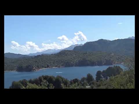 Caminos de la patagonia - Villa Pehuenia