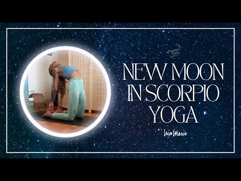 New Moon in Scorpio Yoga | 30 Minutes