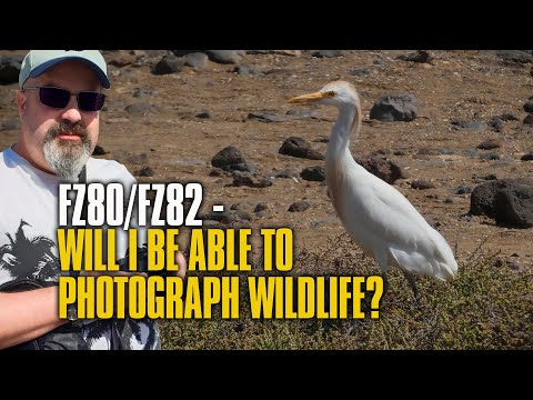 Panasonic FZ80 /FZ82 Bridge Camera Review Part 2 - Good For Photographing Wildlife in 2021?