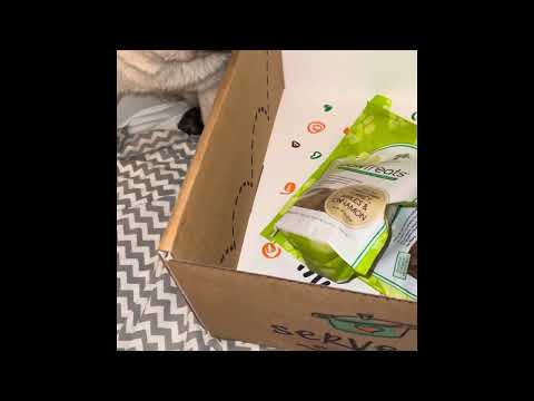 World’s most finicky pug treat challenge #3