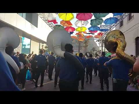 Banda Mallkus - tema "Oye mujer" 2024