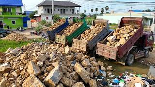 WOW!!! Fast Bulldozer D20P Pushing Soil mix stone&amp; Dump Trucks 5ton Working Together.