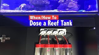 How To Dose a Reef Tank - When do you know you need to dose?