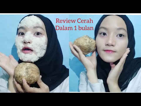 download lagu mp3 mp4 Tips Perawatan Wajah Dengan Bengkoang, download lagu Tips Perawatan Wajah Dengan Bengkoang gratis, unduh video klip Tips Perawatan Wajah Dengan Bengkoang