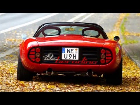 THE GOAL /  BERADINO - The fantastic Story of a Dream