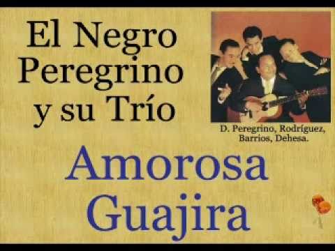 El Negro Peregrino y su Trío: Amorosa Guajira  -  (letra y acordes)