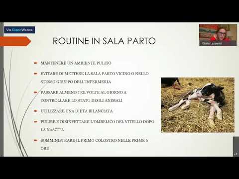 , title : 'Corretta Gestione della Vitellaia - Dott.ssa Giulia Lazzerini'