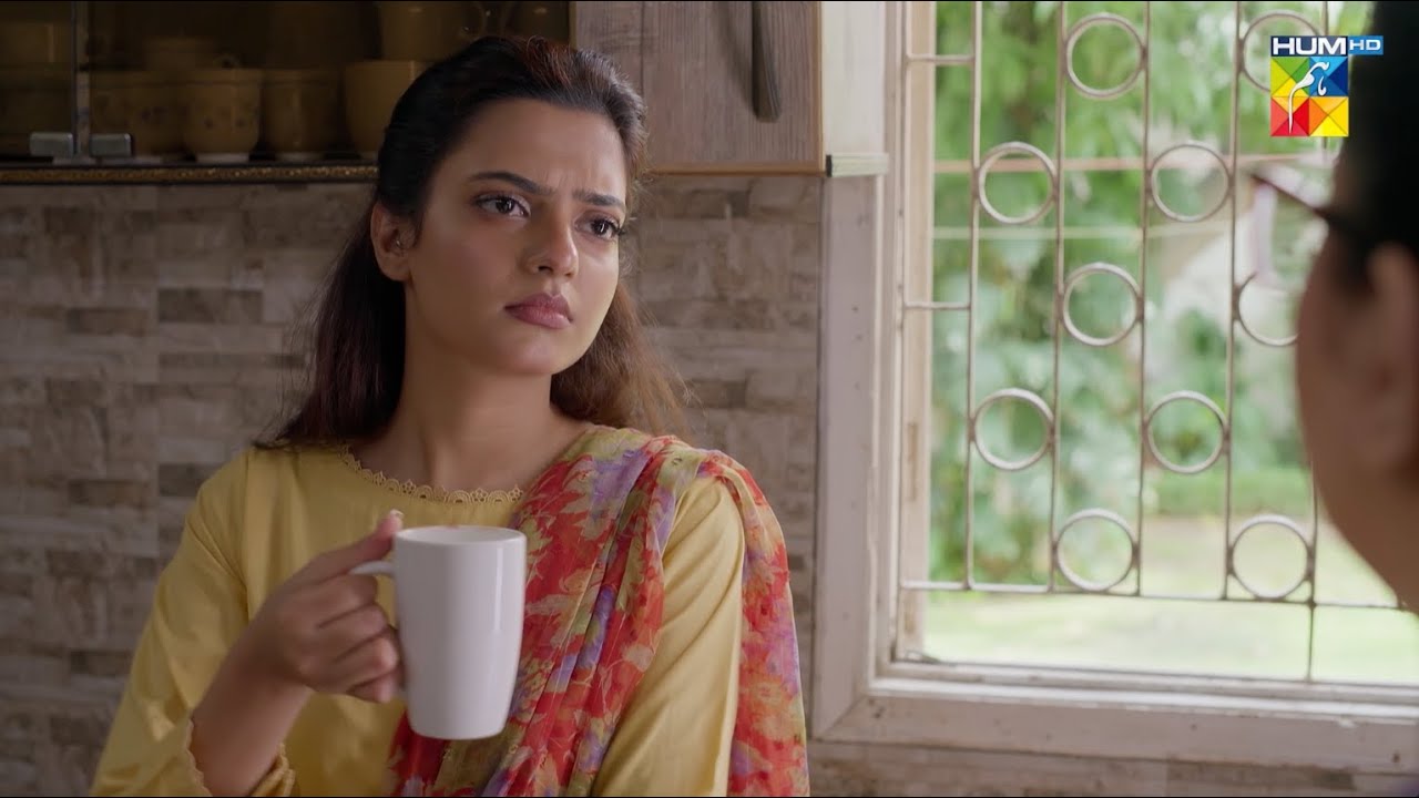 Bakwas Band Karo Warna Zaban Khench Lun Gi - HUM TV