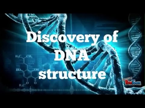Discovery of DNA structure (long version)