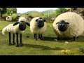 Shaun The Sheep