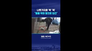 나뭇가지로 '퍽' '퍽' "동물 학대 혐의로 입건" #shorts