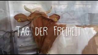 Tag der Freiheit - 222 & Friends fahren nach ❤️