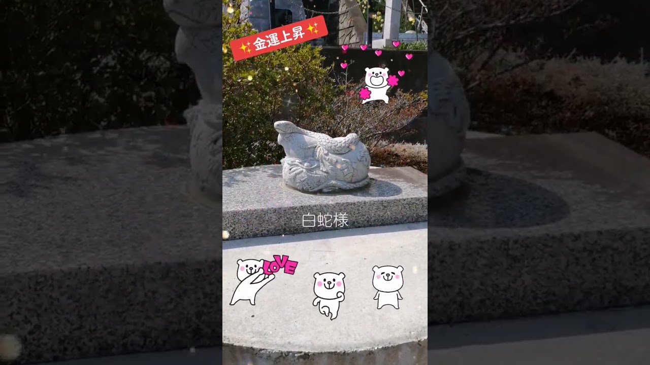 白瀧神社の蛇神様です🙏金運白蛇ラッキーご利益 #おまじない #人間関係 #お守り