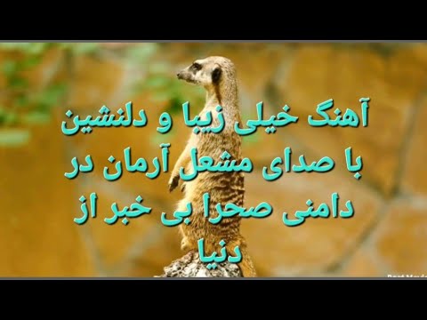 Old Afghan song with the voice of Mashal Arman آهنگ قدیمی افغانی با صدای مشعل آرمان در دامنی صحرا
