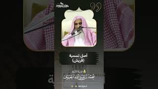 صورة 14 أصل تسمية ( قريش )