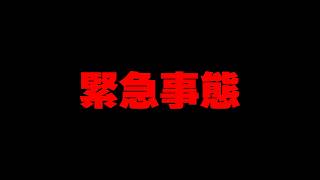 動画班の最新ゲームについて大事なご報告があります