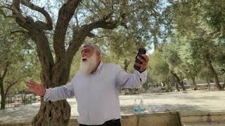 הכלי יקר כותב דבר מדהים!! | הרב שמואל מורנו (ישיבת הר הבית) - התמונה מוצגת ישירות מתוך אתר האינטרנט יוטיוב. זכויות היוצרים בתמונה שייכות ליוצרה. קישור קרדיט למקור התוכן נמצא בתוך דף הסרטון הכלי יקר כותב דבר מדהים!! | הרב שמואל מורנו (ישיבת הר הבית) - התמונה מוצגת ישירות מתוך אתר האינטרנט יוטיוב. זכויות היוצרים בתמונה שייכות ליוצרה. קישור קרדיט למקור התוכן נמצא בתוך דף הסרטון