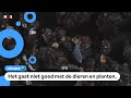 Grote vergadering over planten en dieren op aarde begonnen