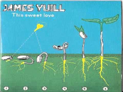 James Yuill ‎-- This Sweet Love   --(Prins Thomas Sneaky Edit)