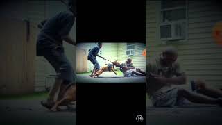 oh no 😟😟😟😟,#shorts #pitbull #dog #attack #ytshorts #youtubeshorts