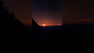 Download lagu G O O D M O R N I N G #youtubeshorts mp3 Download lagu G O O D M O R N I N G #youtubeshorts mp3