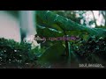 Chinna Chinna Thooral Enna ️ Whatsapp Status Lyrical Video Peace ️