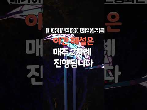 낮에는 숲을 걷고, 밤에는 빛을 듣다 ✨ 고령 대가야 빛의 숲 야간 해설