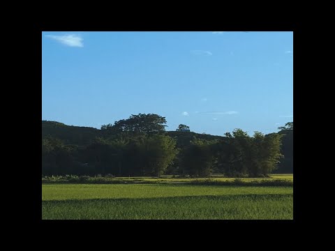 Meewakching - How I Wish to be Back to You (Official Video)