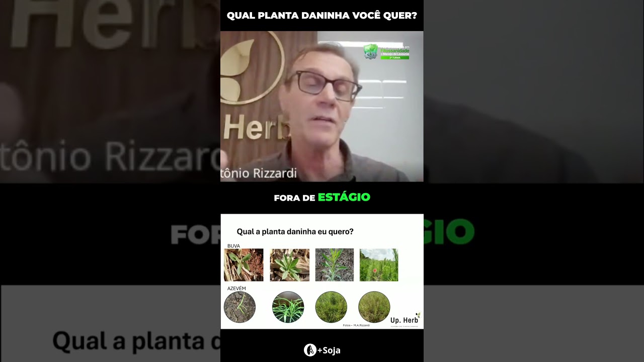 Controle de Plantas Daninhas: Tamanho da Planta é Crucial