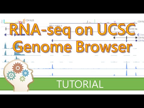 RNA-SEQ WITH THE UCSC GENOME BROWSER