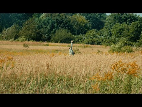 Yu - Der, der dich liebt [Official Video]