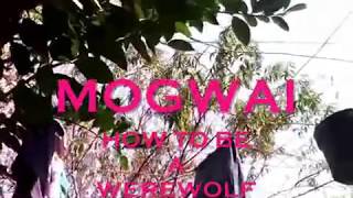 HOW TO BE A WEREWOLF MOGWAI