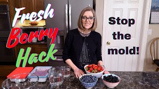 How To Keep Berries Fresh - Stop The Mold