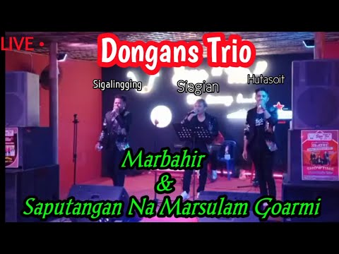 DONGAN'S TRIO LIVE SOPO TIO DAINANG I @MEDAN