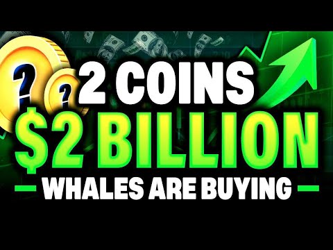 Bitcoin Whale Accumulation and 2026 DeFi & Macro Trends