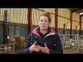 Common diseases affecting lambs - Lamlac