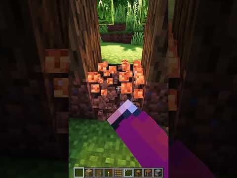 Minecraft Starter Tree House?😱 #shorts