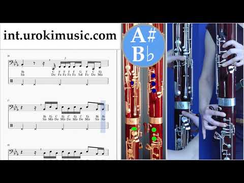Bassoon lessons The Chainsmokers - Who Do You Love Sheet Music Tutorial um-a-n352
