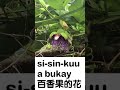 拜訪族人之Tapinaa 白潔長老