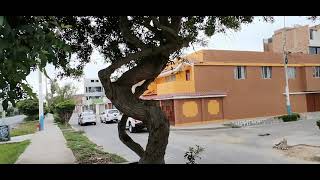 Caminando por la Avenida La Paz en La Perla Callao