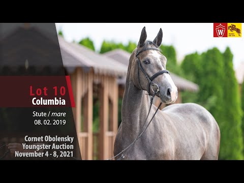 Youngster Auktion Lot 10 Columbia Stute v. Cornet Obolensky - Chin Chin