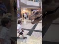 Feeding A T Rex
