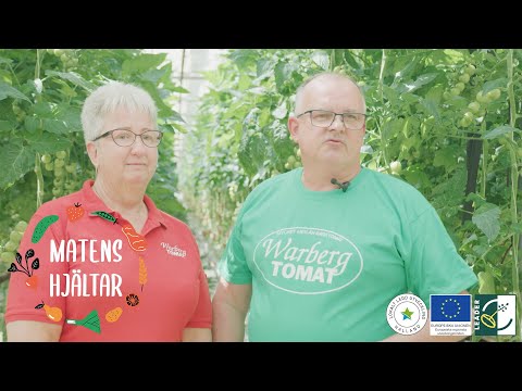 Matens hjältar - Warberg Tomateria