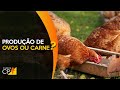 Curso Administração da Pequena Empresa Rural