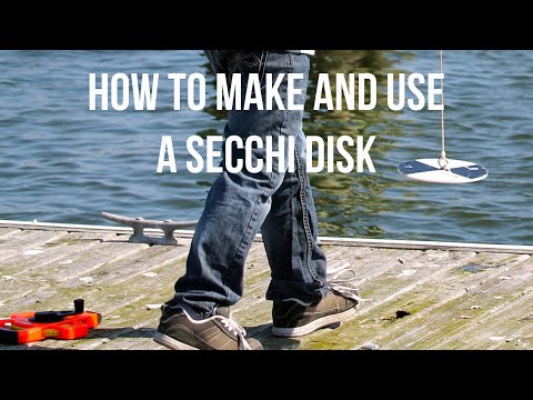 Measuring lake health: How to make and use a Secchi disk