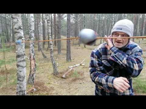 Boxtraining, Krzywogoniec 25.03.2021