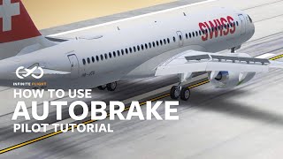 How To Use Autobrakes