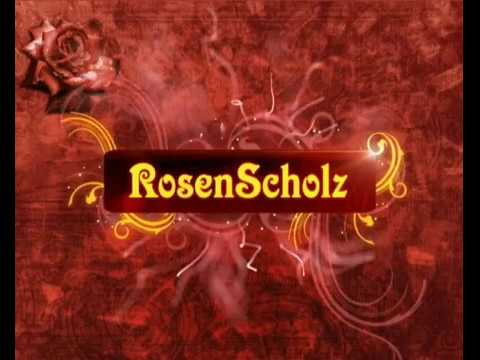 RosenScholz Nr. 1 - Teil 10/10