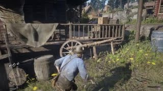 Red dead redemption 2 strawberry general store illegal\secret business