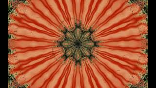 🎵Ween - Polka-Dot Tail